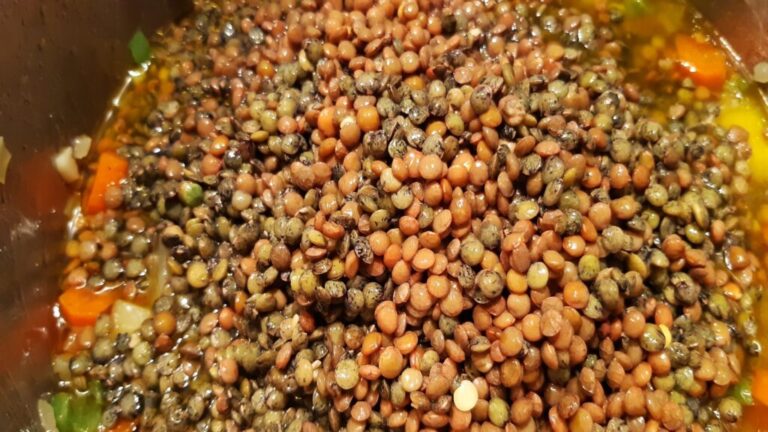 GUISO DE LENTEJA VERDE O VERDINA DE PUY Y PARDINA